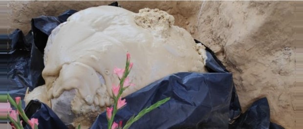 00 Modelo foto destacada A