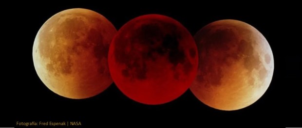 001 Modelo foto destacada