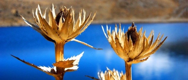 001 Modelo foto destacada