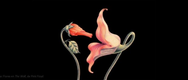 001 Modelo foto destacada