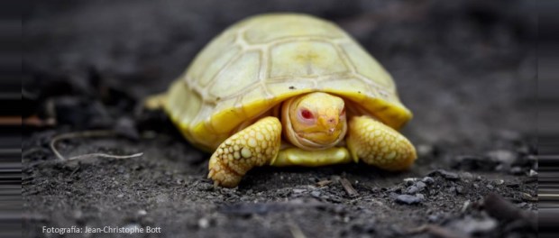 001 Modelo foto destacada