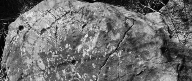 001 Modelo foto destacada