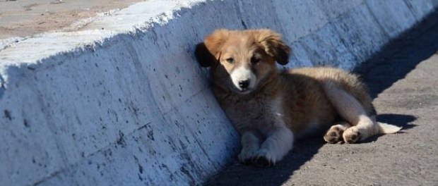 8a4c0568-b1a8-4344-9e87-a928a1a76488