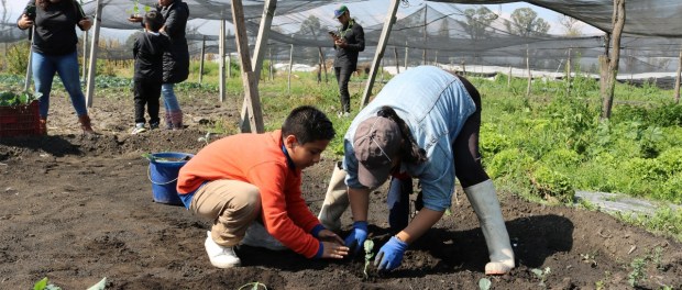 200ec962-ce8d-4e07-8f08-e587be617fa9