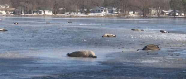 01 Modelo foto destacada