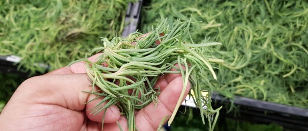 d023f679-3fca-456e-916b-568df4a21daa