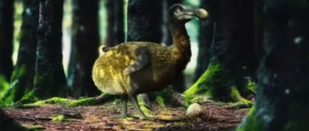 01 Modelo foto destacada