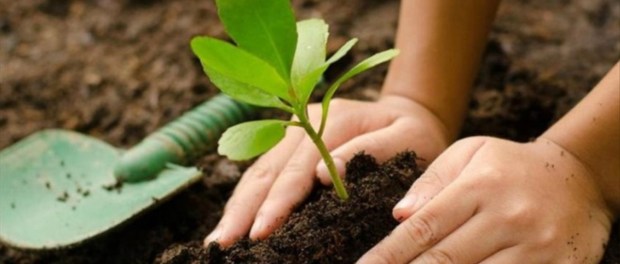 01 Modelo foto destacada