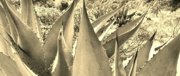 01 Modelo foto destacada