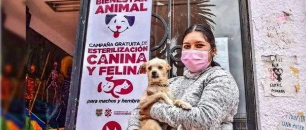 01 Modelo foto destacada