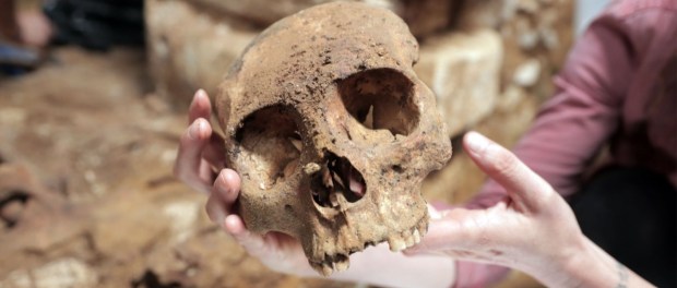 01 Modelo foto destacada