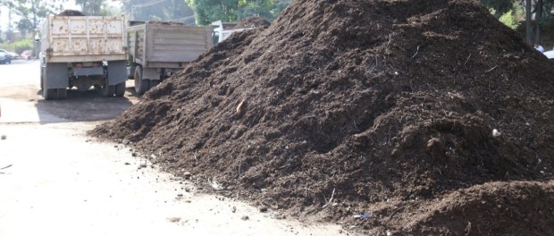 01 Modelo foto destacada