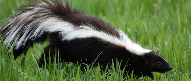 01 Modelo foto destacada