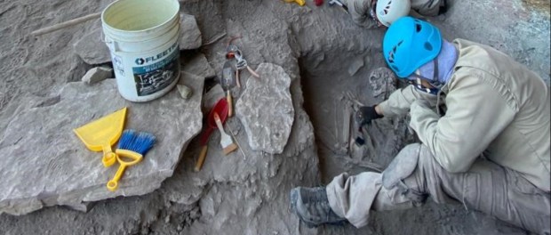 01 Modelo foto destacada