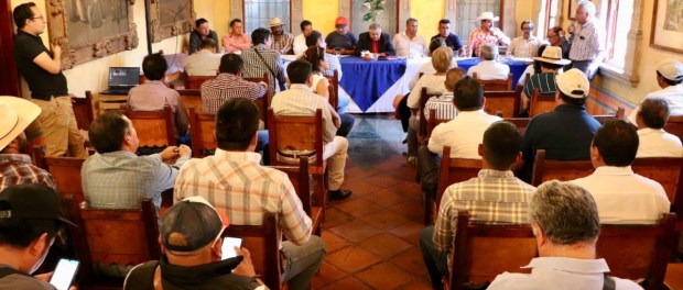 01 Modelo foto destacada