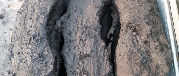 01 Modelo foto destacada