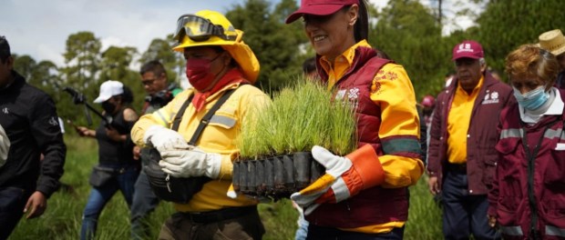 01 Modelo foto destacada