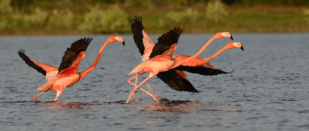 01 Modelo foto destacada