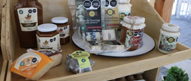 01 Modelo foto destacada