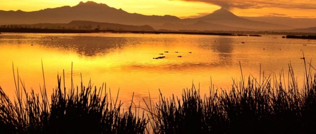 01 Modelo foto destacada