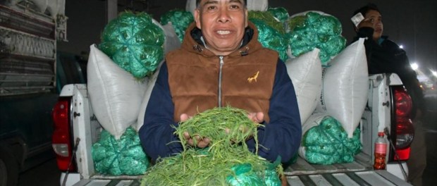 01 Modelo foto destacada