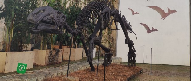 01 Modelo foto destacada