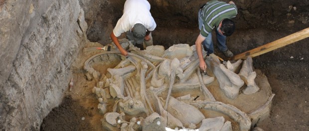 01 Modelo foto destacada