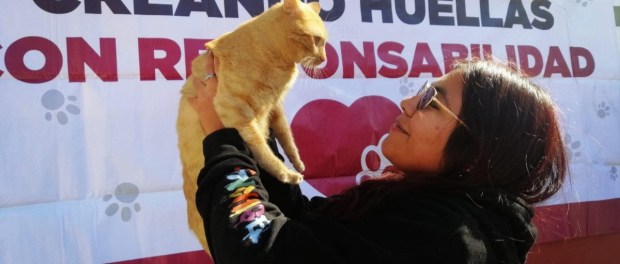 01 Modelo foto destacada