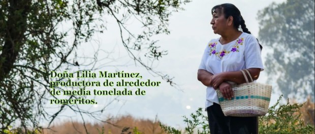 01 Modelo foto destacada