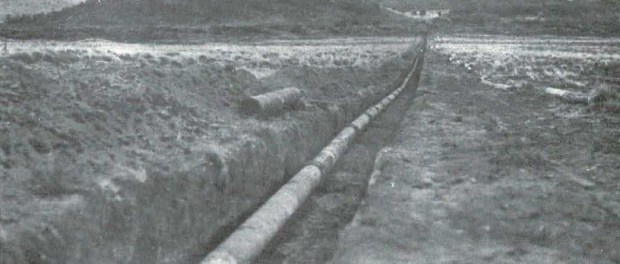 01 Modelo foto destacada