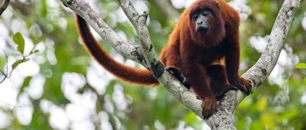 01 Modelo foto destacada