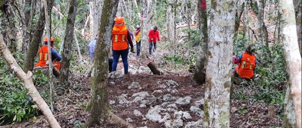 01 Modelo foto destacada