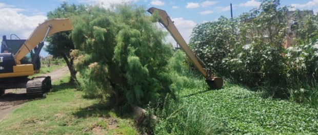 01 Modelo foto destacada