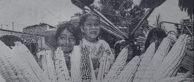 01 Modelo foto destacada