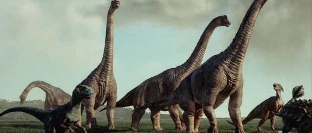 01 Modelo foto destacada