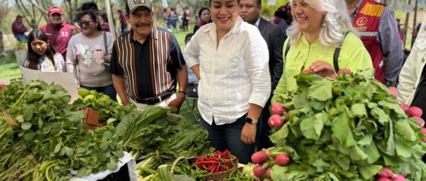 01 Modelo foto destacada