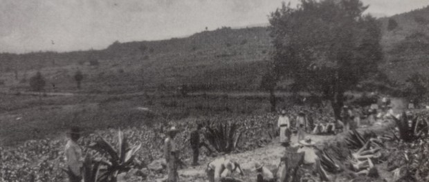 01 Modelo foto destacada