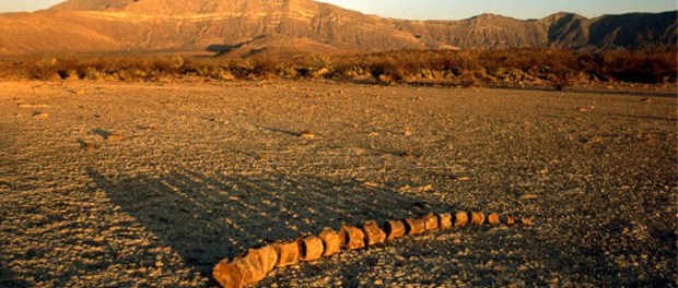 01 Modelo foto destacada