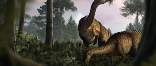 01 Modelo foto destacada