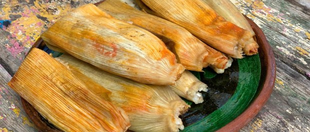 01 Modelo foto destacada