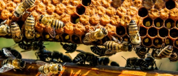 01 Modelo foto destacada