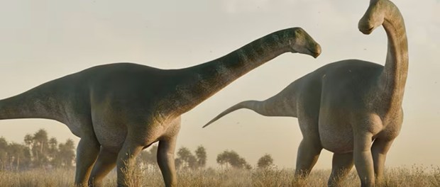 01 Modelo foto destacada