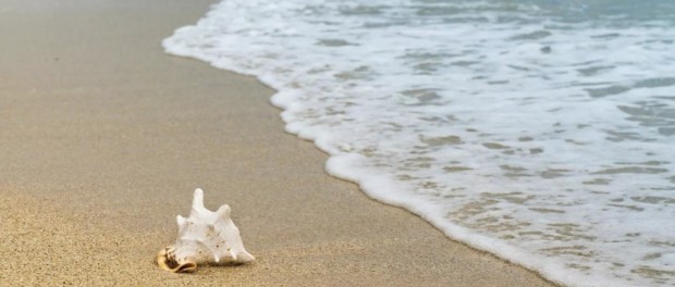 01 Modelo foto destacada