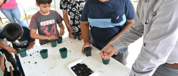 01 Modelo foto destacada