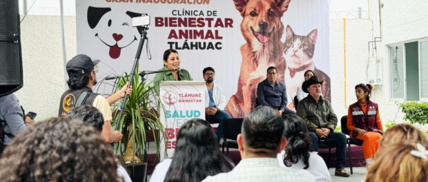 01 Modelo foto destacada