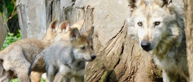 01 Modelo foto destacada