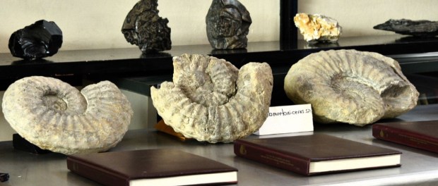 01 Modelo foto destacada