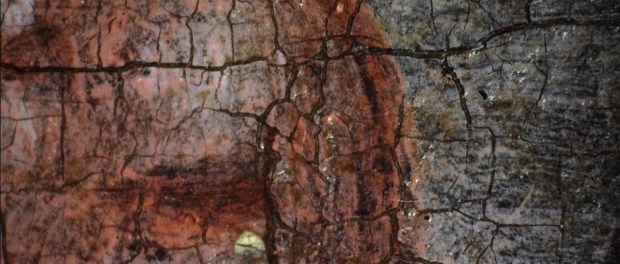 01 Modelo foto destacada