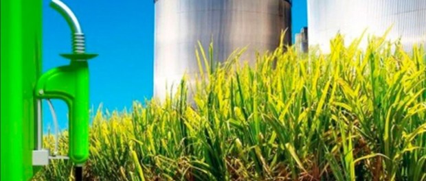 01 Modelo foto destacada