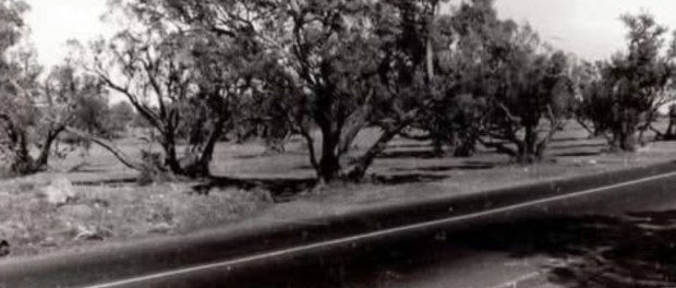 01 Modelo foto destacada